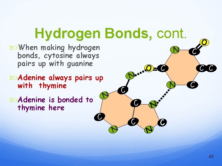 Hydrogen Bonds, cont. When making hydrogen N bonds, cytosine always pairs up with guanine