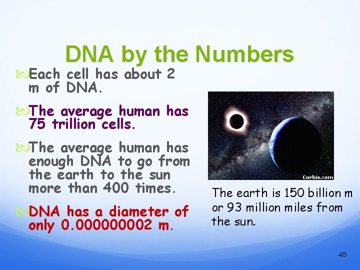 DNA by the Numbers Each cell has about 2 m of DNA. The average