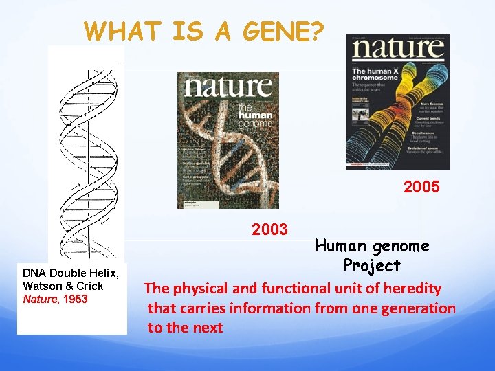 WHAT IS A GENE? 2005 2003 DNA Double Helix, Watson & Crick Nature, 1953