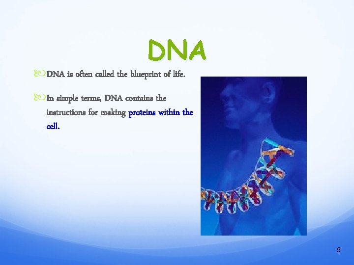 DNA is often called the blueprint of life. In simple terms, DNA contains the