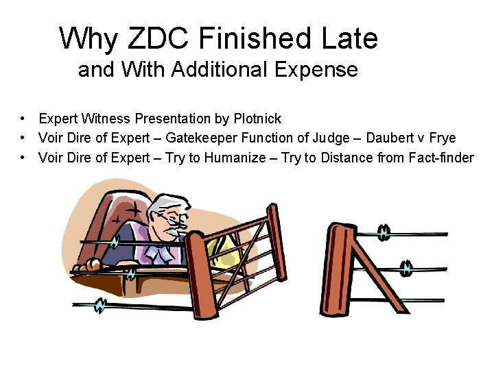 Why ZDC Finished Late and With Additional Expense • Expert Witness Presentation by Plotnick