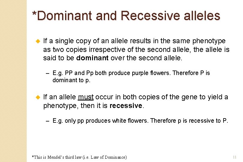 *Dominant and Recessive alleles u If a single copy of an allele results in