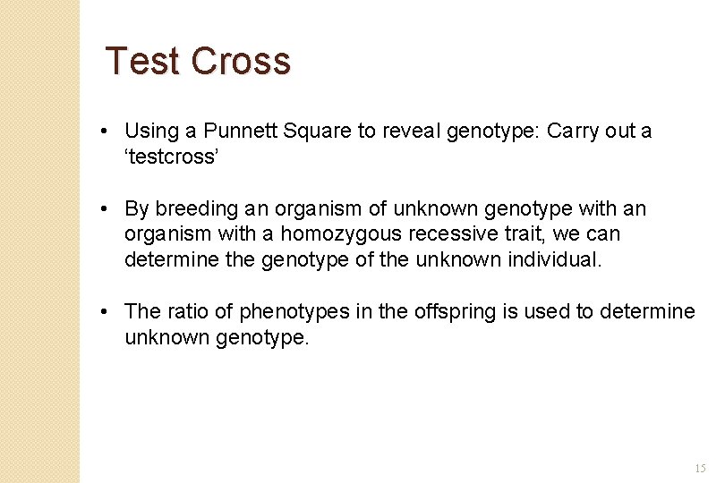 Test Cross • Using a Punnett Square to reveal genotype: Carry out a ‘testcross’