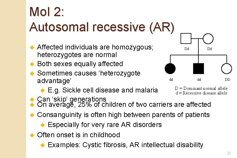 Mo. I 2: Autosomal recessive (AR) u u u u Affected individuals are homozygous;