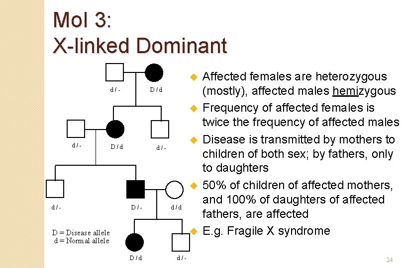 Mo. I 3: X-linked Dominant u d/- D/d u d/- D/- d/d u D