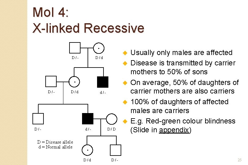 Mo. I 4: X-linked Recessive. D/- u D/d u . D/- u D/d d/-