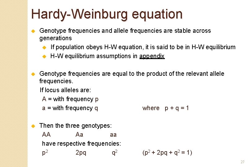 Hardy-Weinburg equation u Genotype frequencies and allele frequencies are stable across generations u If