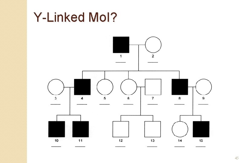 Y-Linked Mo. I? 45 