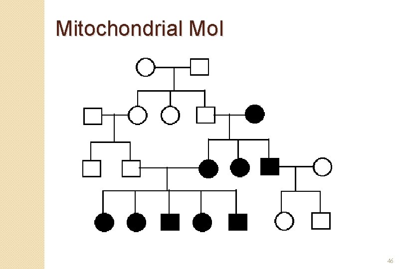 Mitochondrial Mo. I 46 