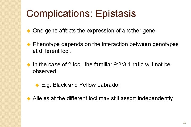 Complications: Epistasis u One gene affects the expression of another gene u Phenotype depends
