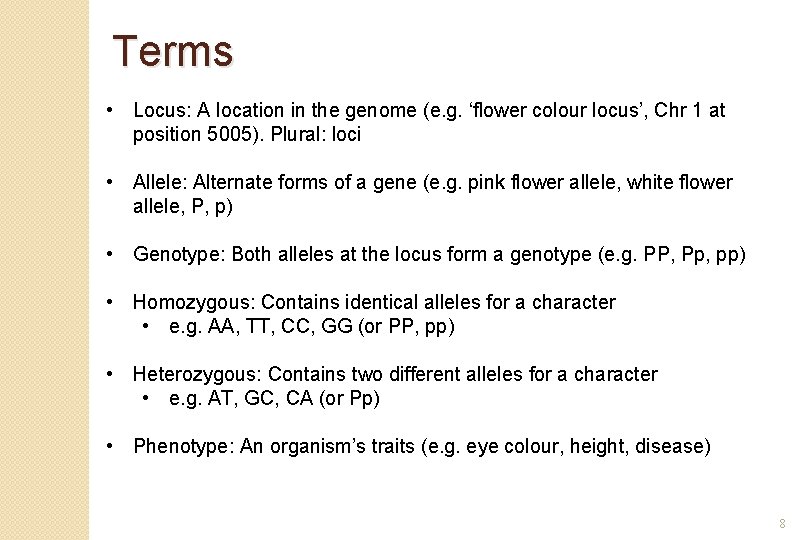 Terms • Locus: A location in the genome (e. g. ‘flower colour locus’, Chr