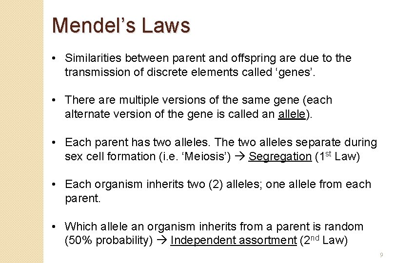 Mendel’s Laws • Similarities between parent and offspring are due to the transmission of