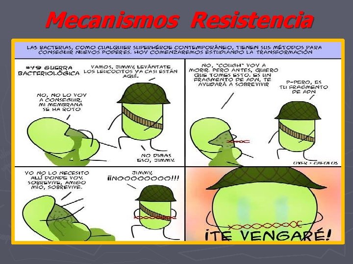 Mecanismos Resistencia 