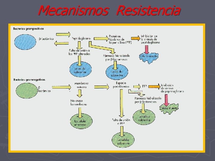 Mecanismos Resistencia 