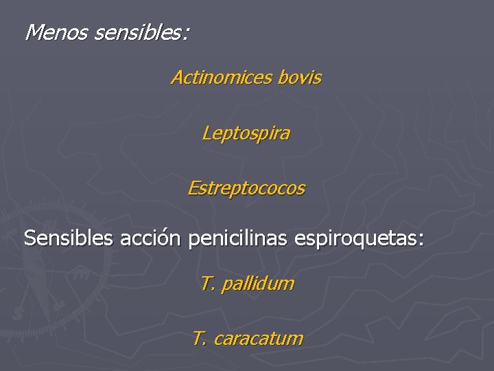 Menos sensibles: Actinomices bovis Leptospira Estreptococos Sensibles acción penicilinas espiroquetas: T. pallidum T. caracatum