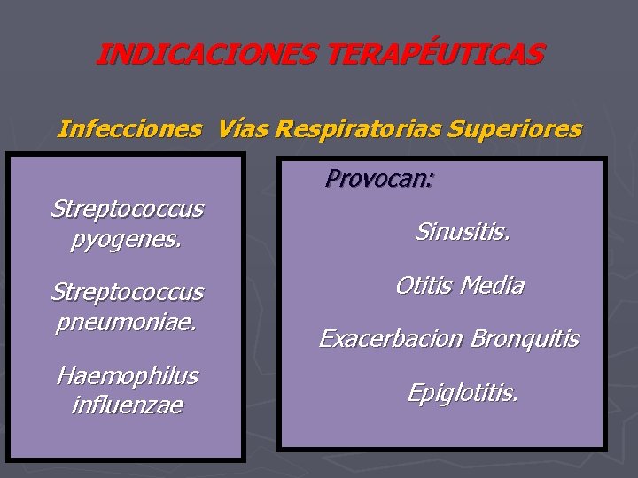 INDICACIONES TERAPÉUTICAS Infecciones Vías Respiratorias Superiores Streptococcus pyogenes. Streptococcus pneumoniae. Haemophilus influenzae Provocan: Sinusitis.