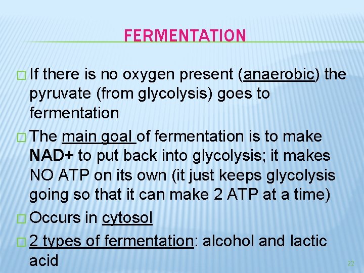 FERMENTATION � If there is no oxygen present (anaerobic) the pyruvate (from glycolysis) goes