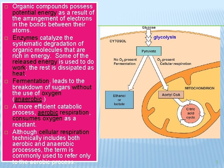 � � � Organic compounds possess potential energy as a result of the arrangement