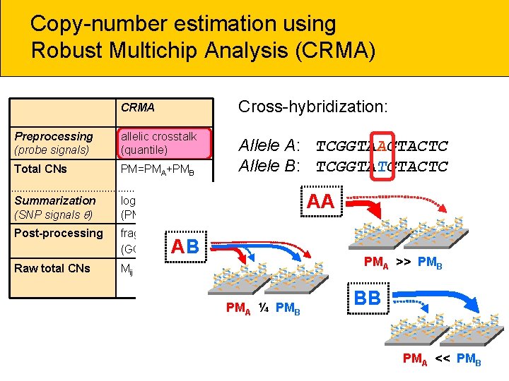 Copy-number estimation using Robust Multichip Analysis (CRMA) CRMA Cross-hybridization: Preprocessing (probe signals) allelic crosstalk