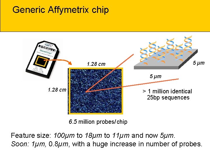 Generic Affymetrix chip * * * 5 µm 1. 28 cm > 1 million