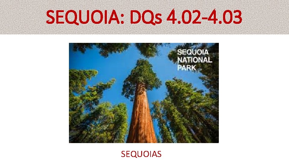 SEQUOIA: DQs 4. 02 -4. 03 SEQUOIAS 