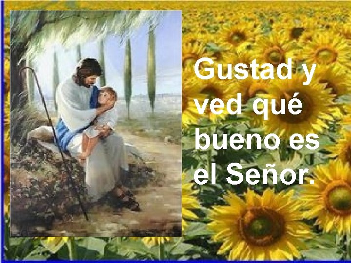 Gustad y ved qué bueno es el Señor. 
