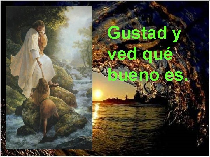 Gustad y ved qué bueno es. 