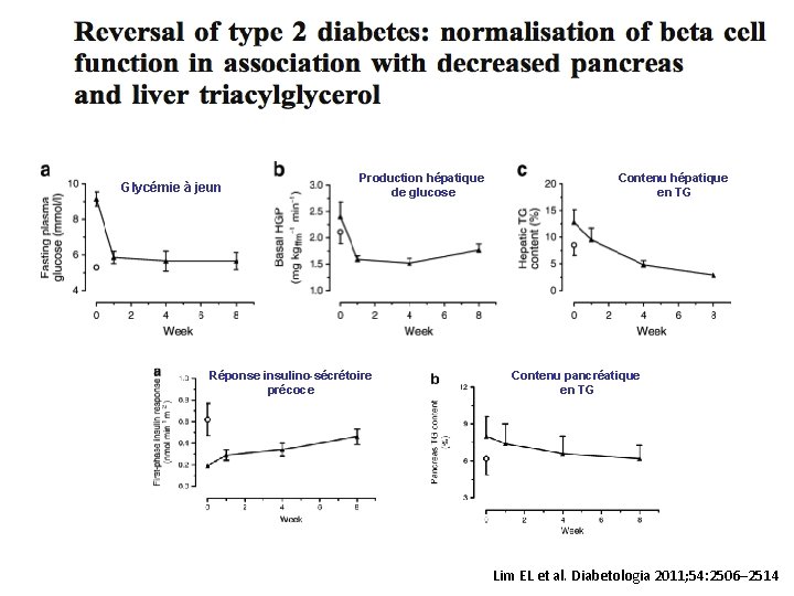 Glycémie à jeun Production hépatique de glucose Réponse insulino-sécrétoire précoce Contenu hépatique en TG