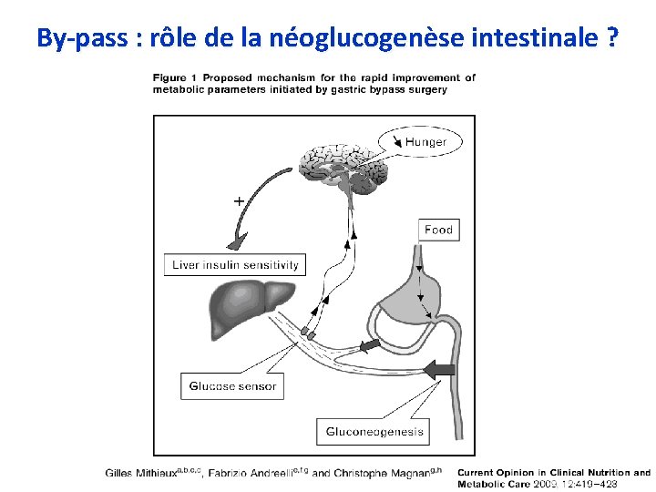 By-pass : rôle de la néoglucogenèse intestinale ? 