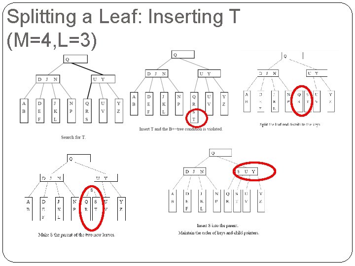 Splitting a Leaf: Inserting T (M=4, L=3) 