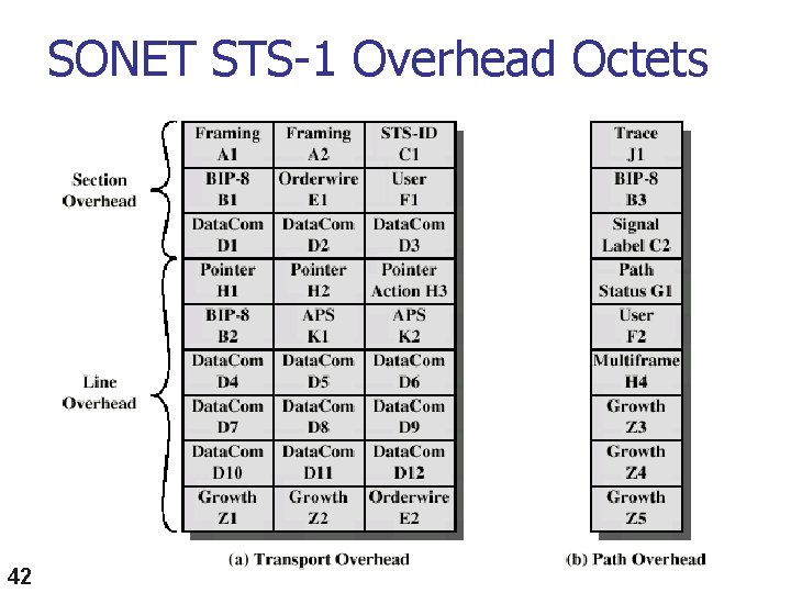 SONET STS-1 Overhead Octets 42 