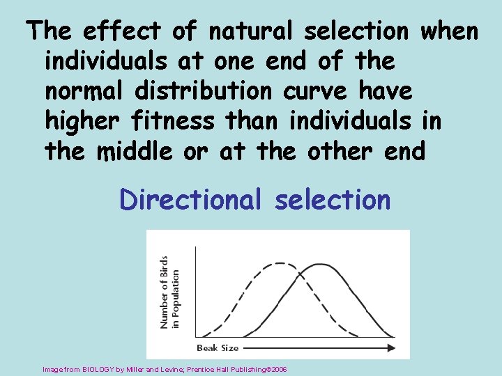 The effect of natural selection when individuals at one end of the normal distribution