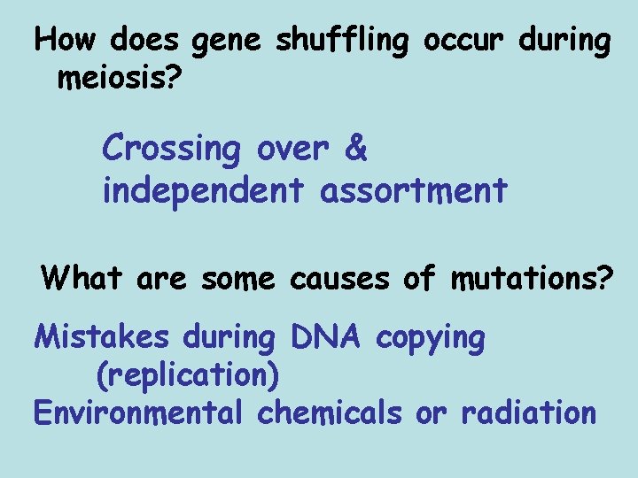 How does gene shuffling occur during meiosis? Crossing over & independent assortment What are