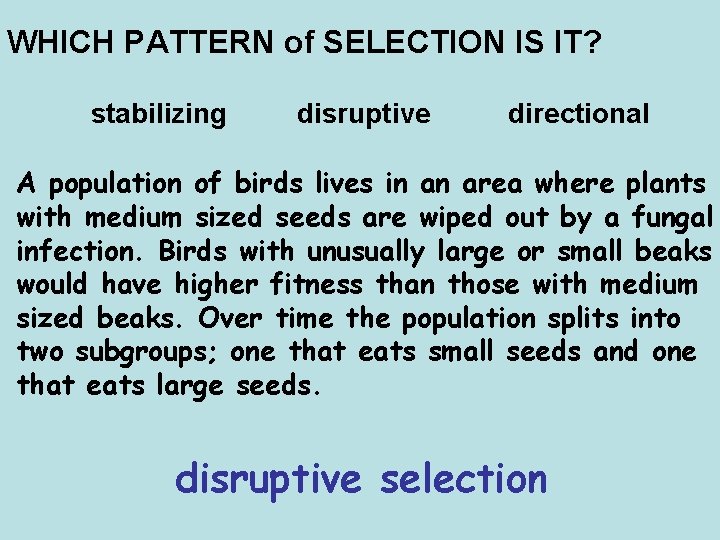 WHICH PATTERN of SELECTION IS IT? stabilizing disruptive directional A population of birds lives