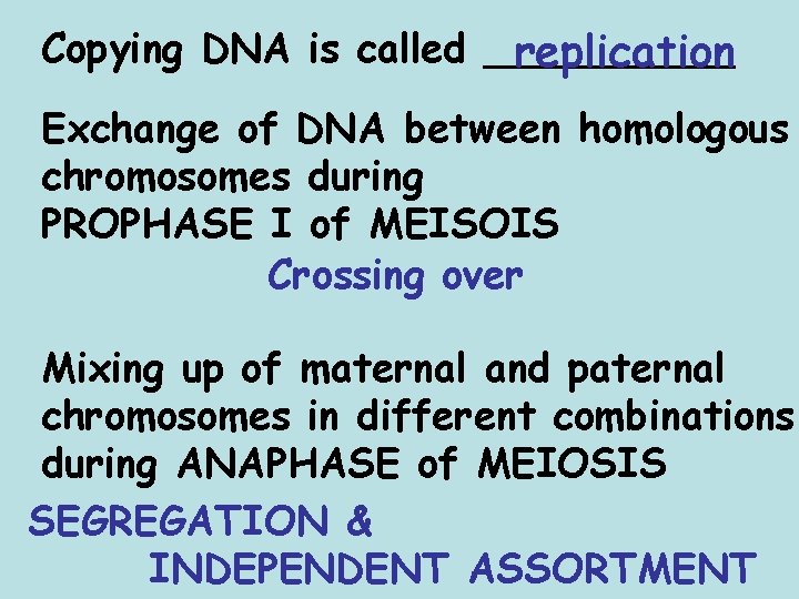 Copying DNA is called _____ replication Exchange of DNA between homologous chromosomes during PROPHASE