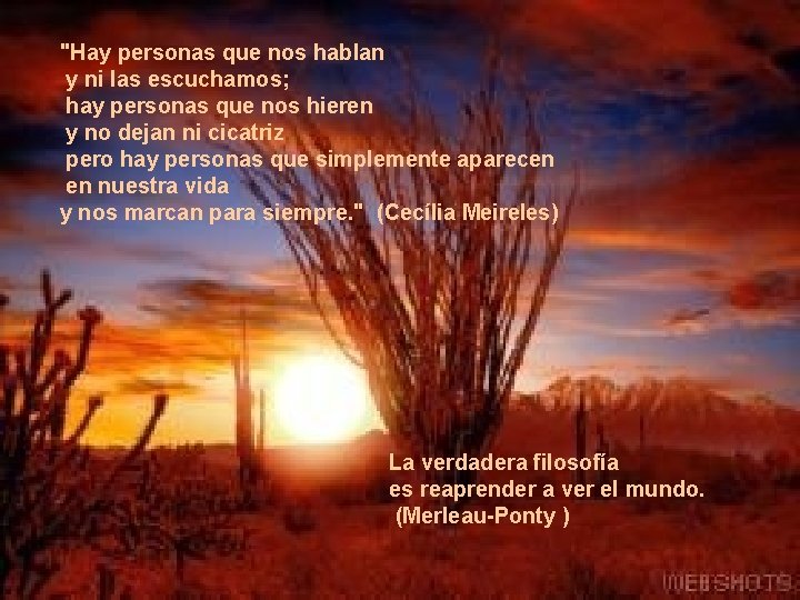 "Hay personas que nos hablan y ni las escuchamos; hay personas que nos hieren