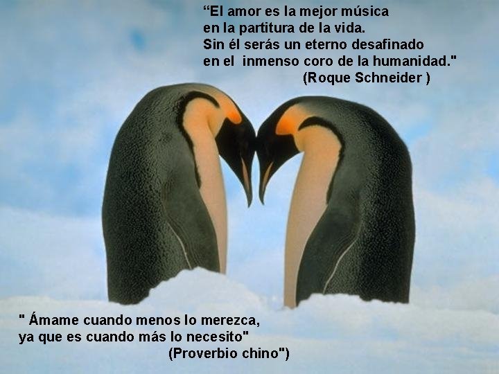“El amor es la mejor música en la partitura de la vida. Sin él
