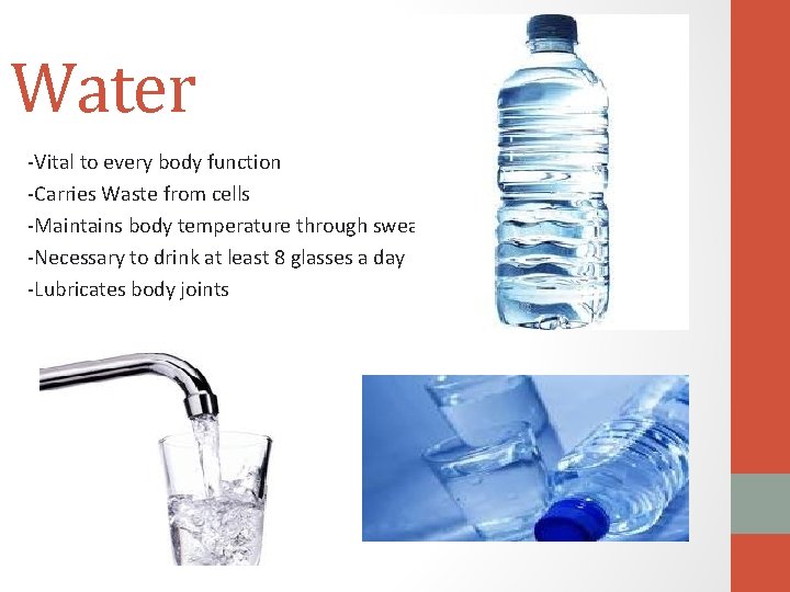 Water -Vital to every body function -Carries Waste from cells -Maintains body temperature through