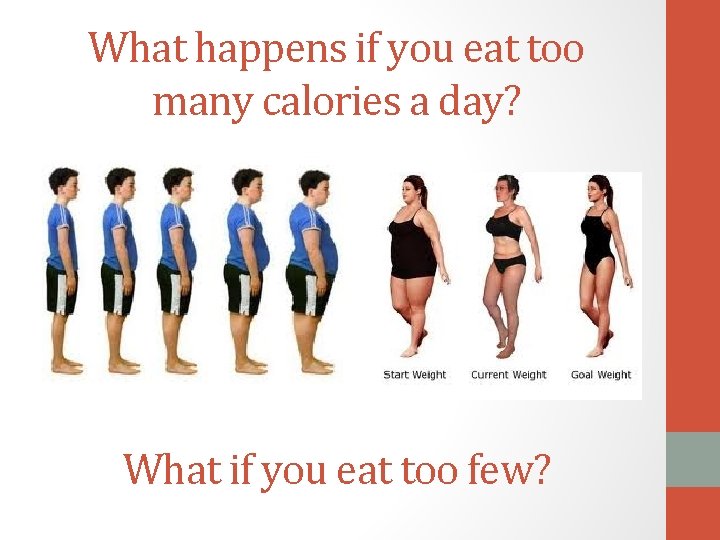 What happens if you eat too many calories a day? What if you eat