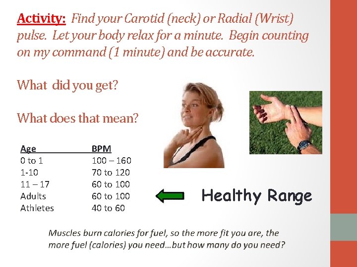 Activity: Find your Carotid (neck) or Radial (Wrist) pulse. Let your body relax for