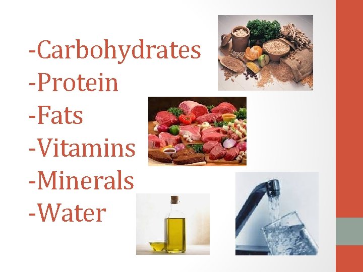 -Carbohydrates -Protein -Fats -Vitamins -Minerals -Water 