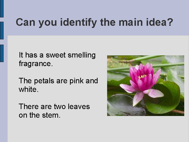 Can you identify the main idea? It has a sweet smelling fragrance. The petals