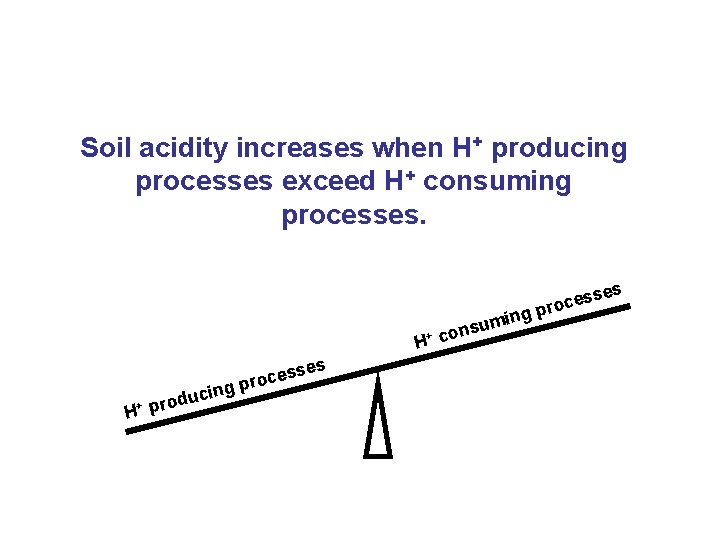 Soil acidity increases when H+ producing processes exceed H+ consuming processes. s in sse