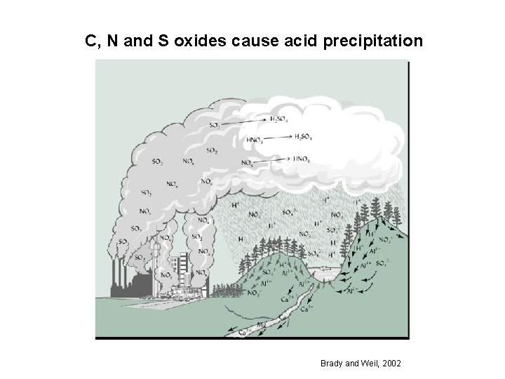 C, N and S oxides cause acid precipitation Brady and Weil, 2002 