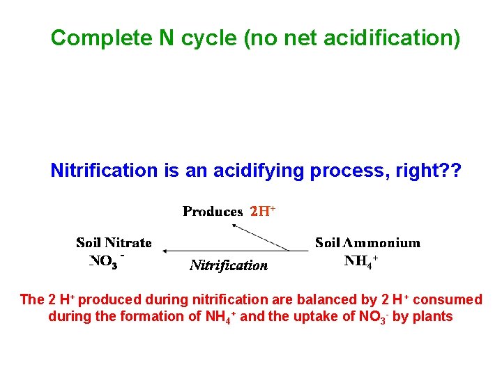 Complete N cycle (no net acidification) released into the soil 1 H+ consumed Nitrification