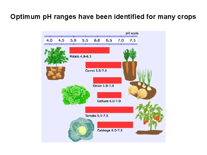 Optimum p. H ranges have been identified for many crops 