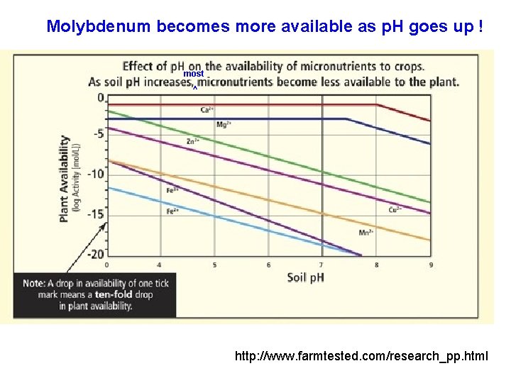 Molybdenum becomes more available as p. H goes up ! most ^ http: //www.