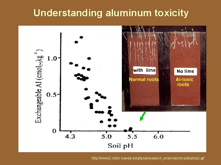Understanding aluminum toxicity Toxic forms Aluminum of Al are toxicity is bioavailable at lowminimal