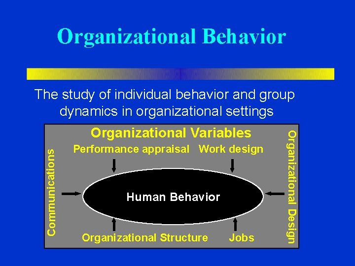 Organizational Behavior The study of individual behavior and group dynamics in organizational settings Communications