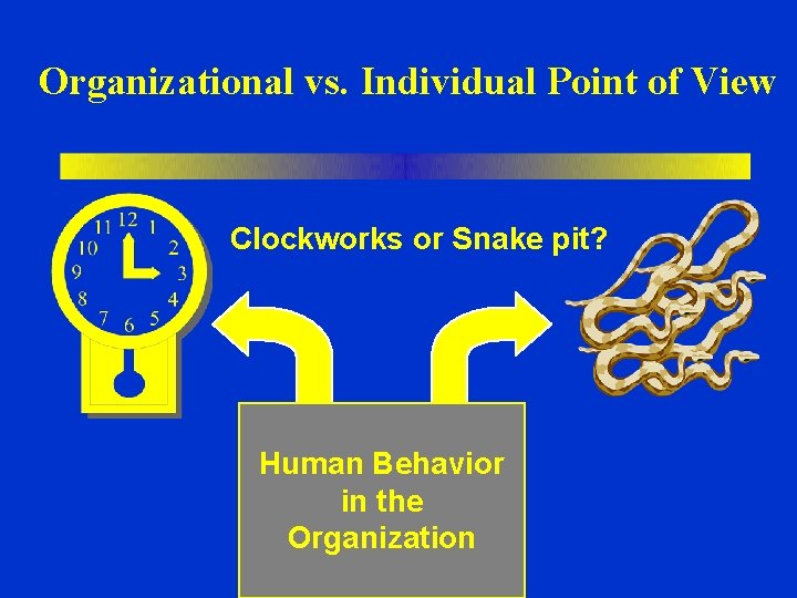 Organizational vs. Individual Point of View Clockworks or Snake pit? Human Behavior in the